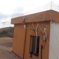 Red anti palomas en Torrenueva (Granada)