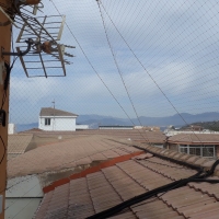 Red anti palomas en Torrenueva (Granada)
