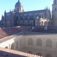 Red protecciÃ³n palomas Universidad de Salamanca